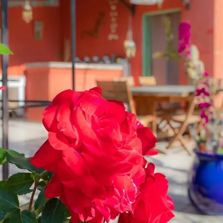 Villa Beautiful In A Peaceful Location In Nice